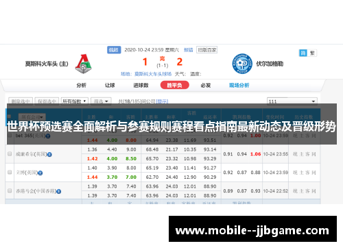 世界杯预选赛全面解析与参赛规则赛程看点指南最新动态及晋级形势