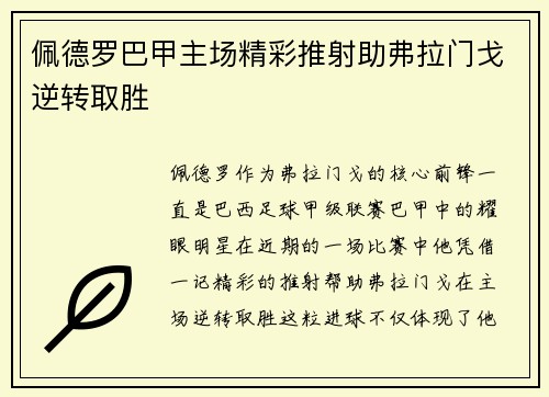 佩德罗巴甲主场精彩推射助弗拉门戈逆转取胜