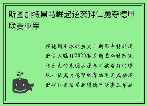 斯图加特黑马崛起逆袭拜仁勇夺德甲联赛亚军